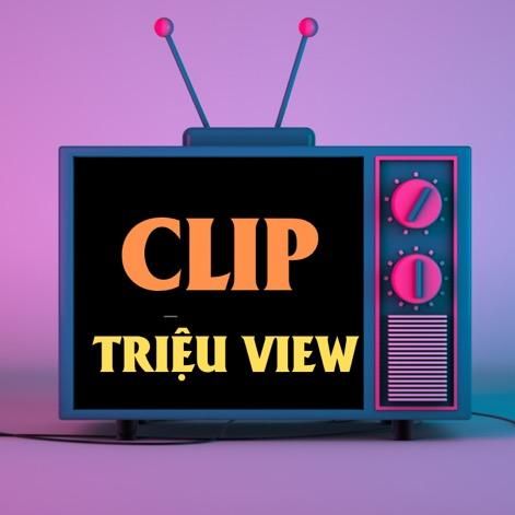 tiktok là ứng dụng thu được nhiều lượng traffic nhất tính tới thời điểm hiện tại
