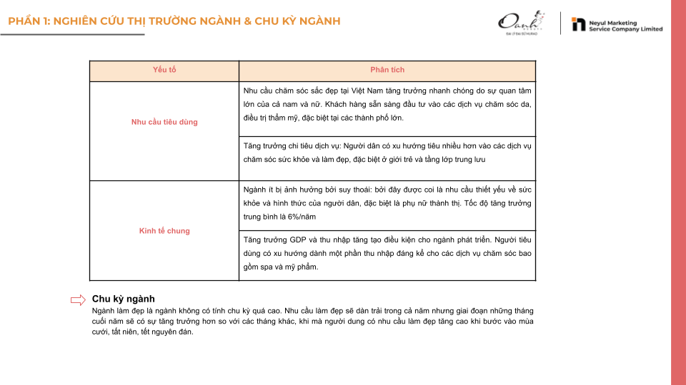 ví dụ về tổng quan về thị trường và ngành của dịch vụ spa