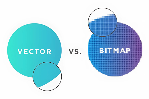 Đồ họa vector và bitmap là gì? So sánh đồ họa vector và bitmap