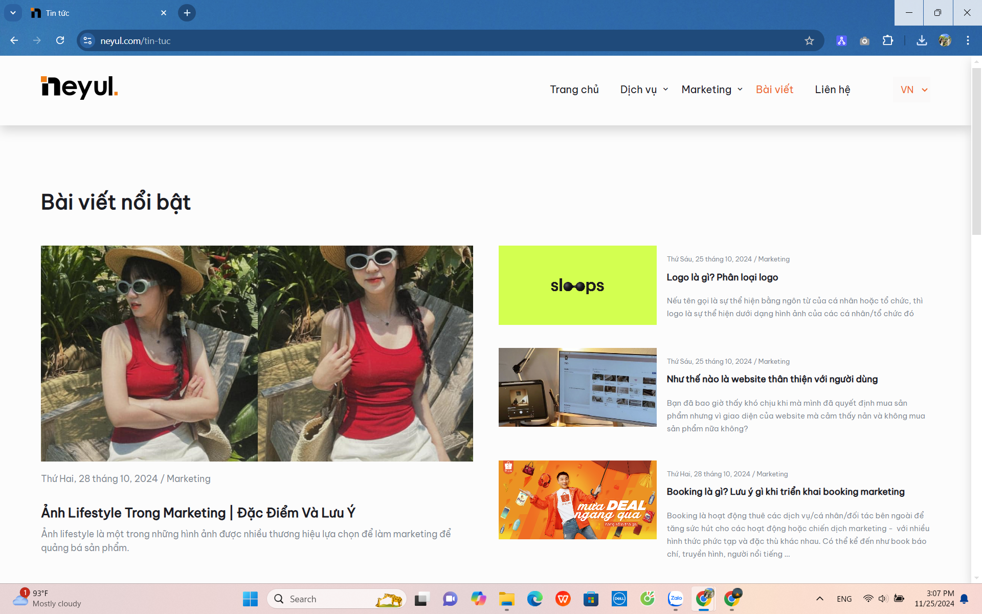 website của neyul